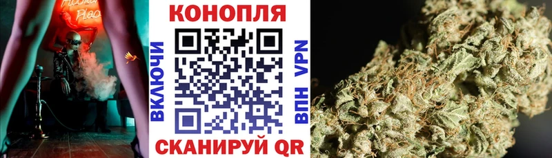 купить Баксан Каннабис ГИДРОПОН